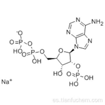 2&#39;-MONOFOSFOADENOSINA 5 &#39;- * SODIO DIFOSFORIBLE CAS 53595-18-9